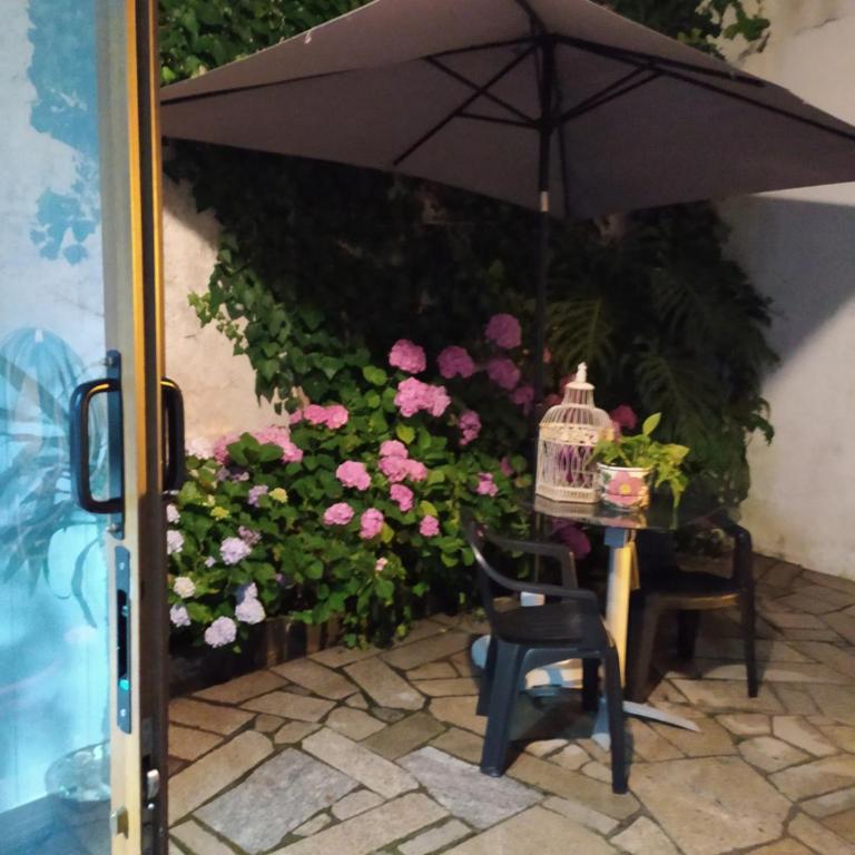 Avenida de León Pareado /Adosado - Casa de 2 dormitorios - 16