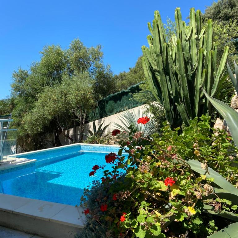 VIzzavona piscine et jacuzzi - Villa - 2