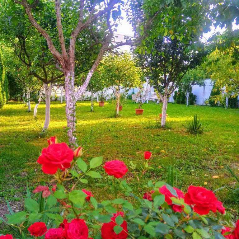 Apartmani Jasmina 2 - Deluxe Apartment - 19