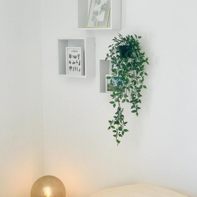La Maison d AME - for the perfect stay at the Mont Ventoux - Maison 3 Chambres - 32