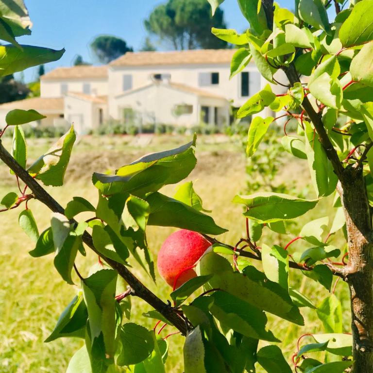 La Maison d AME - for the perfect stay at the Mont Ventoux - Maison 3 Chambres - 27