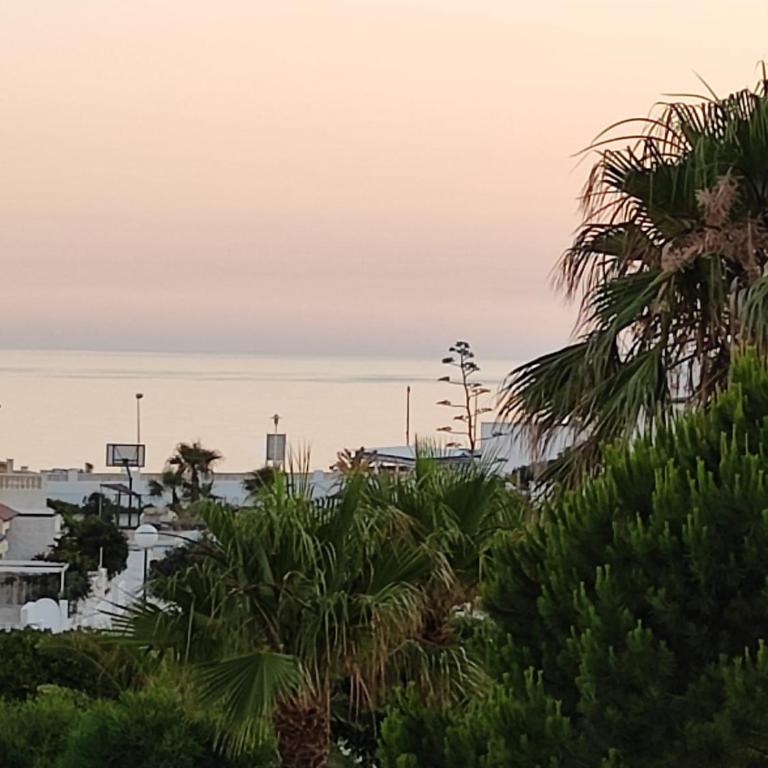 La Burbuja - Apartamento de 2 dormitorios - 28