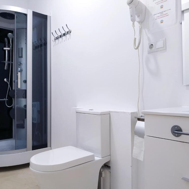 Flats Friends Plaza de la Reina - Small Double Room - 10