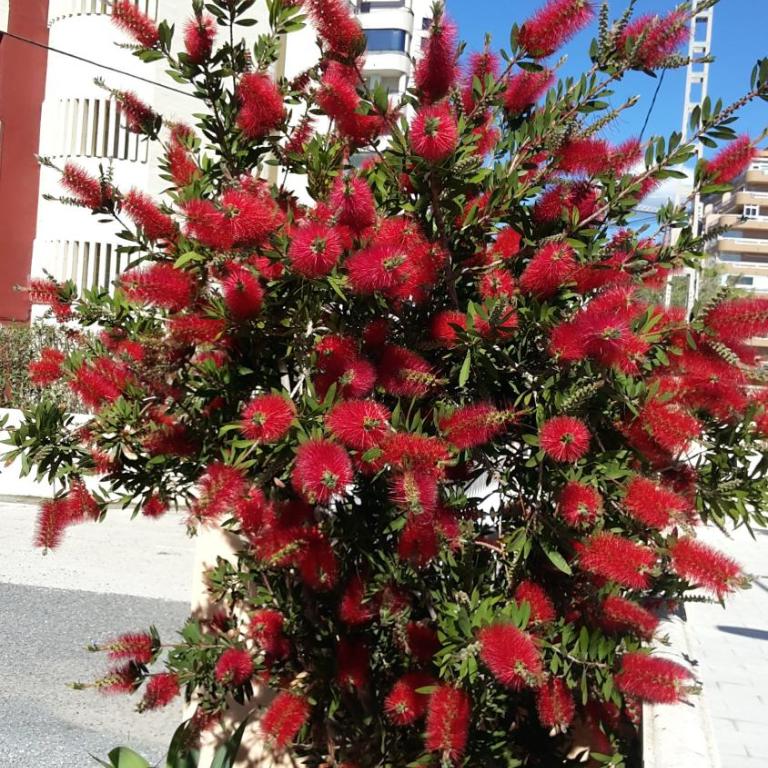Atico en Calpe con Vistas - Apartamento de 1 dormitorio - 26