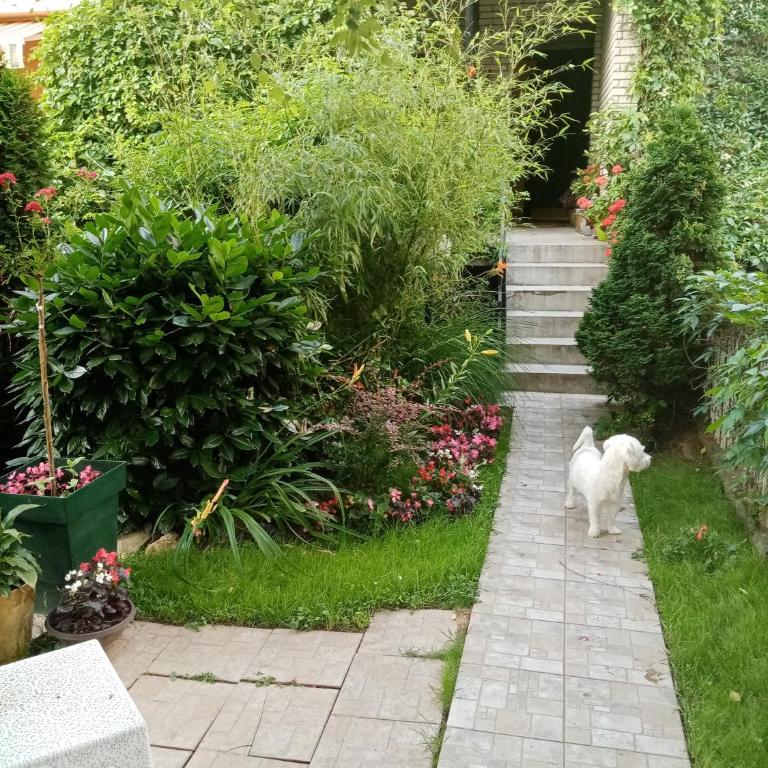 DUŠICA APARTMANI - Apartman sa 1 Spavaćom Sobom - 8
