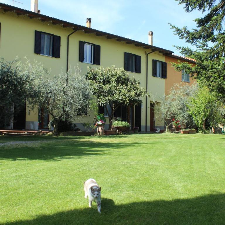 Veramaro,accogliente appartamento in campagna - Appartamento con 1 Camera da Letto - 1