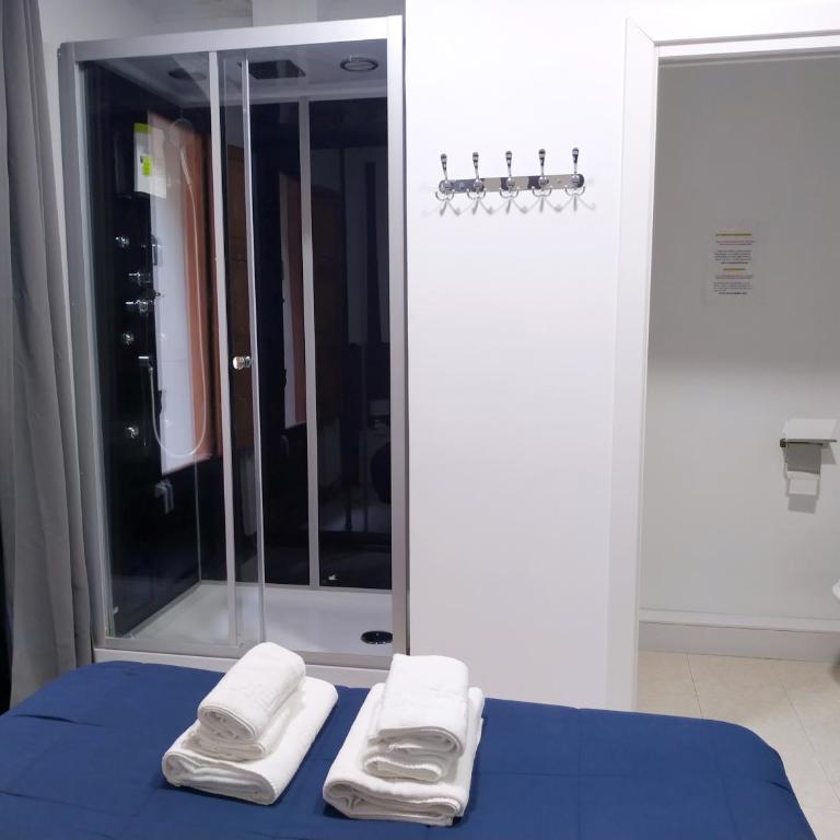 Flats Friends Plaza de la Reina - Budget Double Room - 3