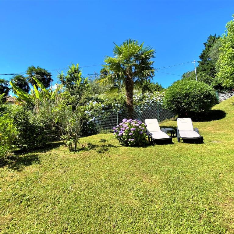Appartamento Giardino - Appartamento - 6