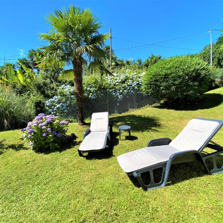 Appartamento Giardino - Appartamento - 2