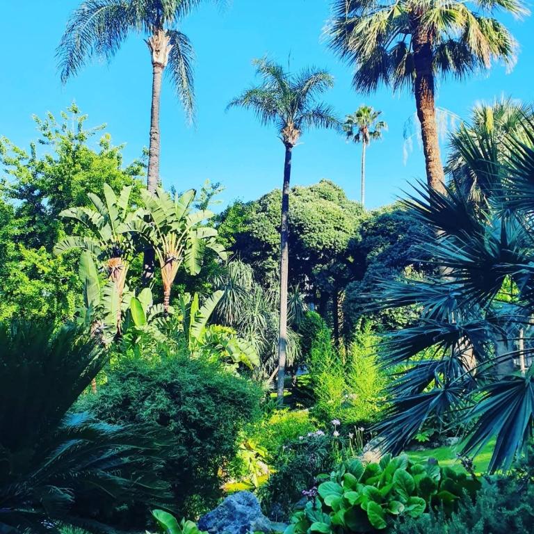 Home for 2 few steps from center of Monte Carlo - Appartement - 30