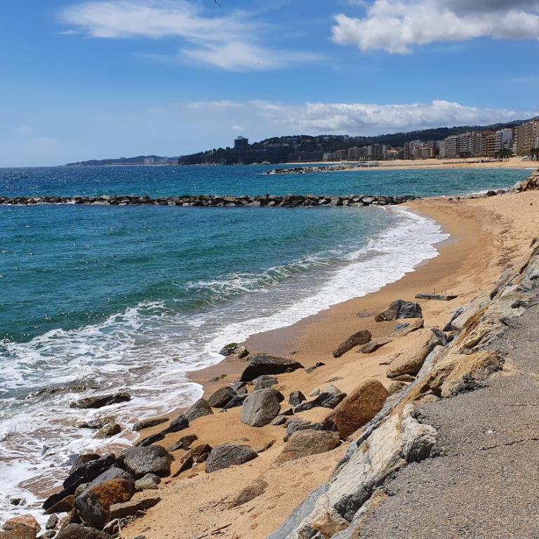 Apartamento en primera linea de mar - Sant Antoni de Calonge - Apartamento de 3 dormitorios - 17