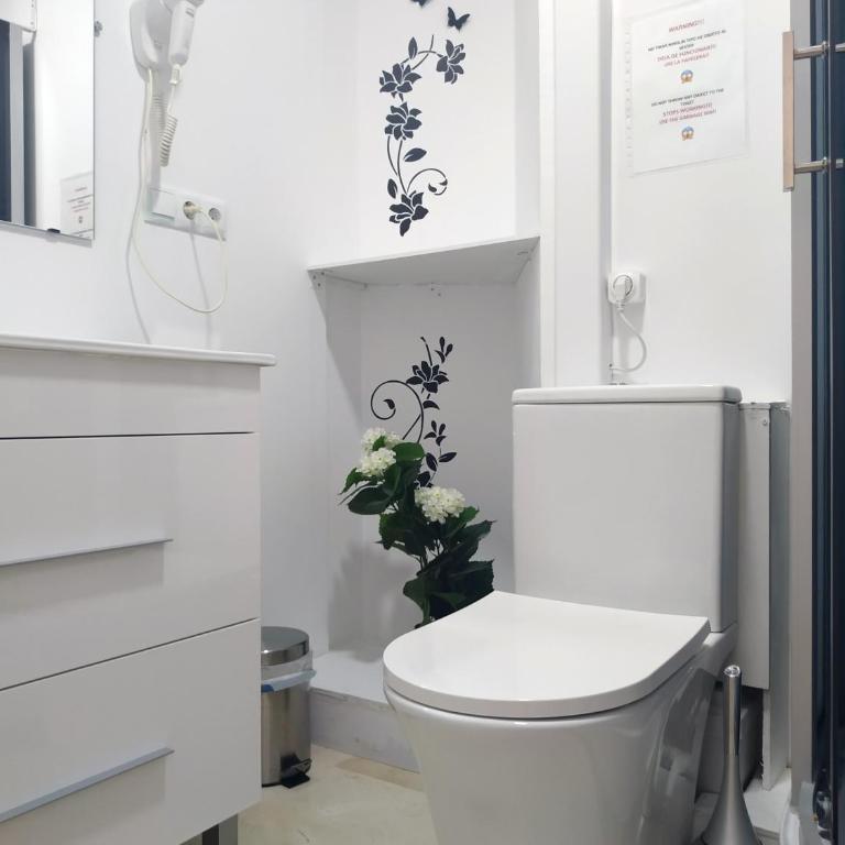 Flats Friends Plaza de la Reina - Small Double Room with views - 1