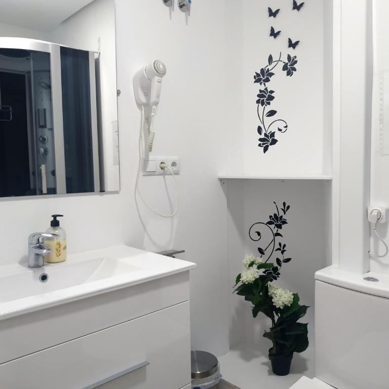 Flats Friends Plaza de la Reina - Small Double Room with views - 2