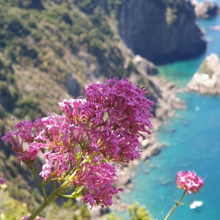 Il mare in casa - Studio Apartment with Sea View - 66