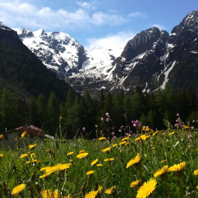 Solimmo - Appartamento con 2 Camere da Letto - 42