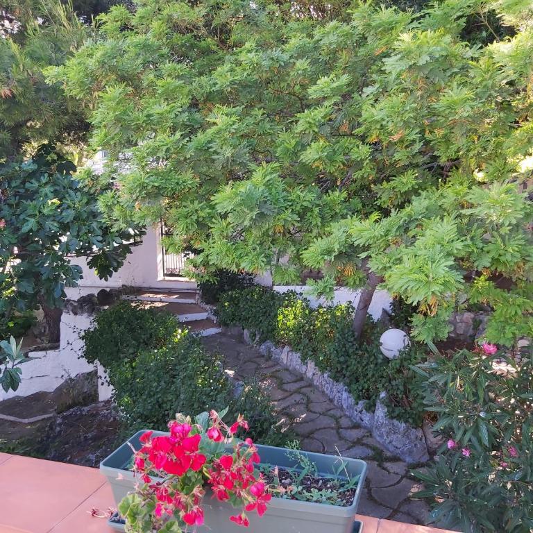 Attico con terrazzo e finestre sulla baia di Peschici - One-Bedroom Apartment - 16