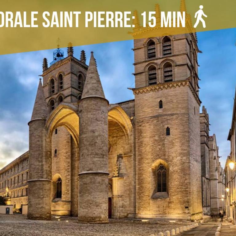 Le Saint Roch-Centre-Free Parking-Clim - Appartamento - Piano Terra - 27