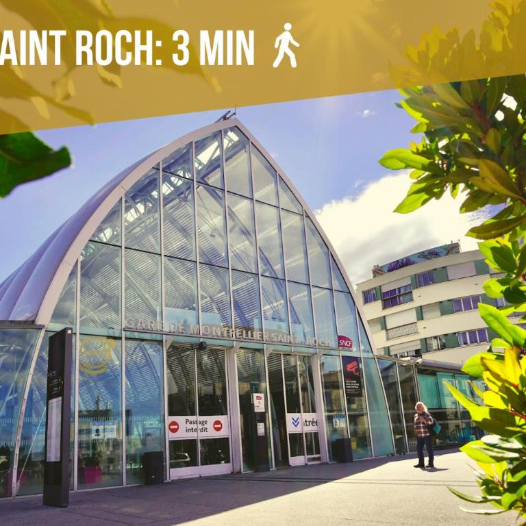 Le Saint Roch-Centre-Free Parking-Clim - Appartamento - Piano Terra - 23