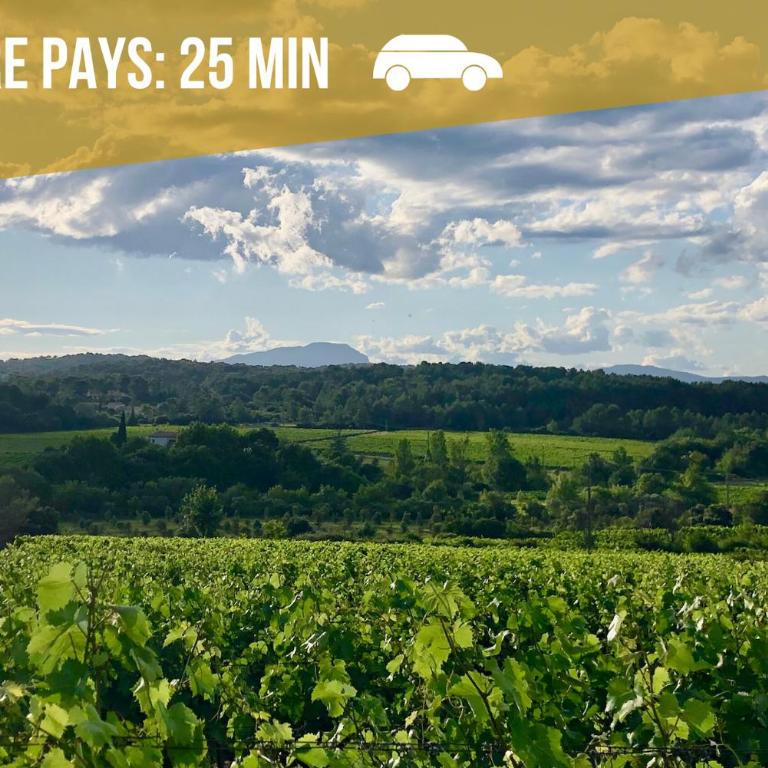 Le Saint Roch-Centre-Free Parking-Clim - Appartamento - Piano Terra - 30