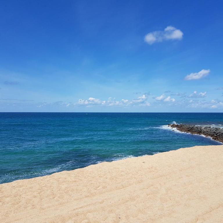 magnifique appartement Capbreton - Appartement 3 Chambres - 17