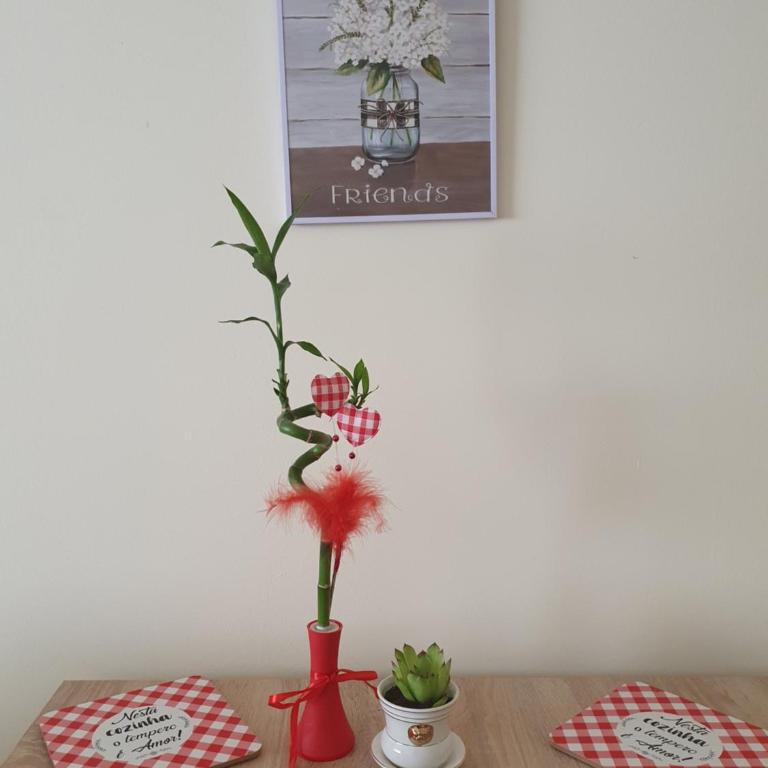 Stankovic apartman - Apartman sa 1 Spavaćom Sobom - 18