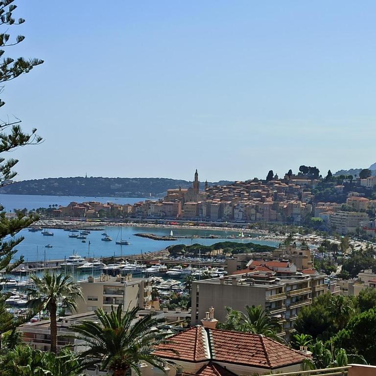 APPARTEMENT TERRASSE VUE MER Sea view terrace apartment "Etoile de Mer" - Appartement 1 Chambre - 27
