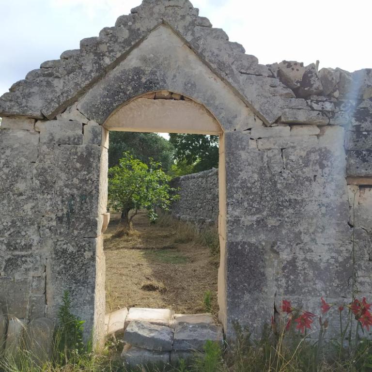 TRULLI CONTI Grande spazio alberato incontaminato- prenotazione esclusiva - Casa Vacanze - 21