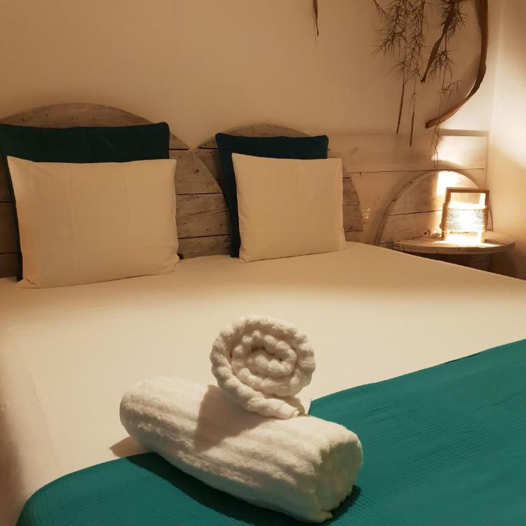 Cactus Host - Suite - 6