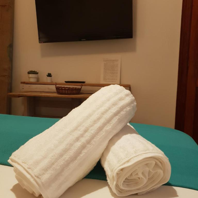 Cactus Host - Suite - 7