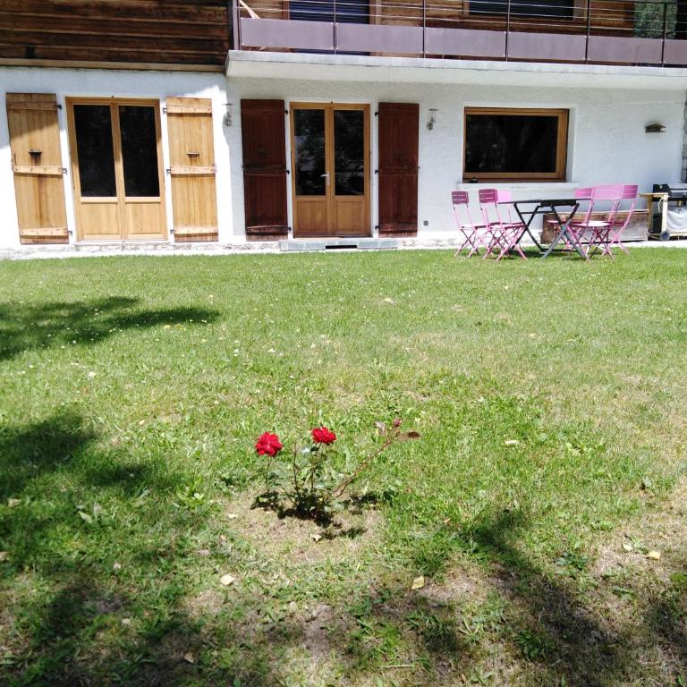 Appartement avec Terrasse - Appartement - 4
