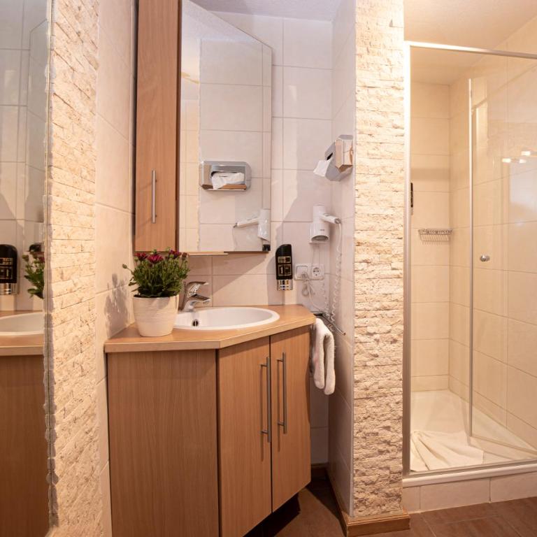 Hotel-Gasthof Der Wiesengrund - Deluxe Doppelzimmer - 5