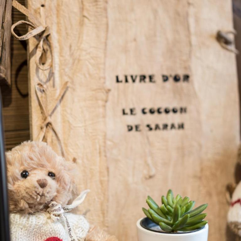 Le Cocoon de Sarah - Appartement - 5