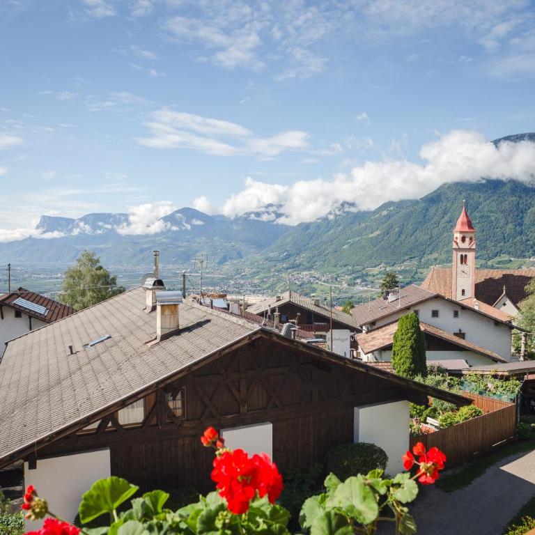 Haller Hof - Appartamento con Vista Montagna - 7