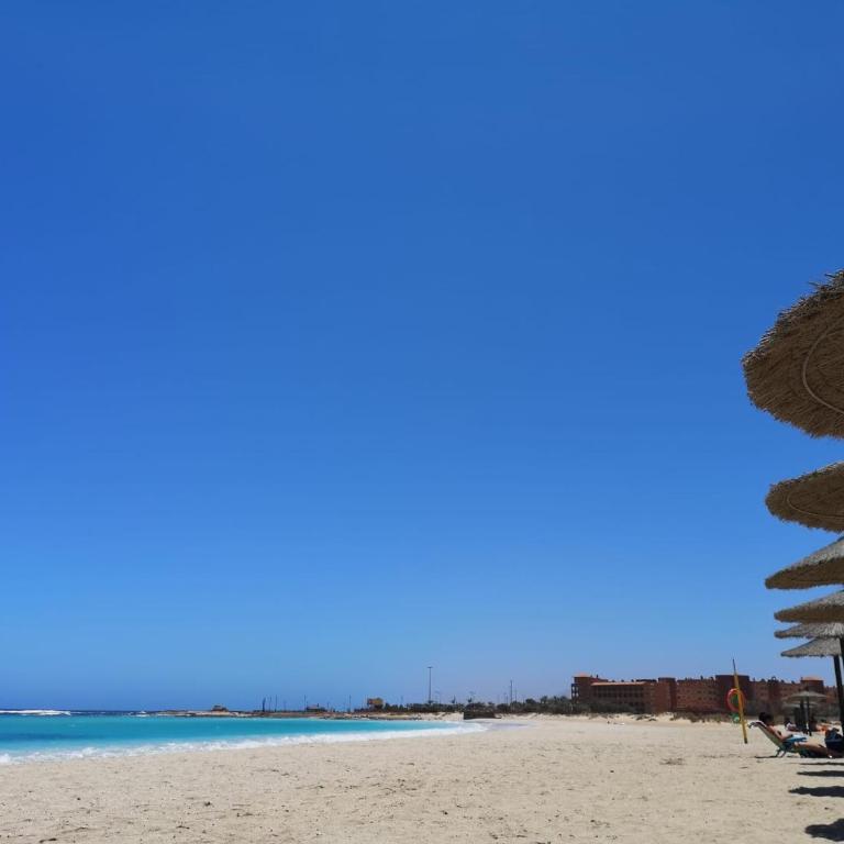 Apartamento Gustamar 11 - One-Bedroom Apartment - 25