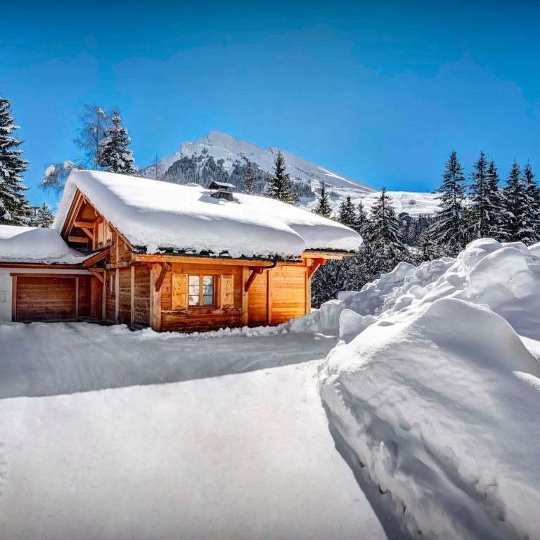 Chalet Hollygotty - OVO Network - Chalet - 1
