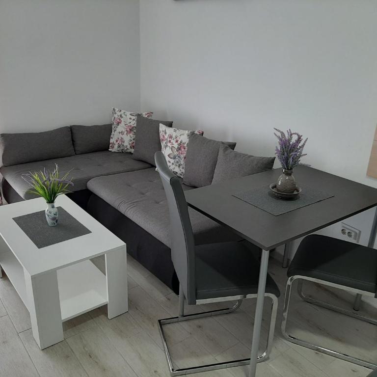 Apartments Ogurlic - Apartman sa 1 Spavaćom Sobom - 14