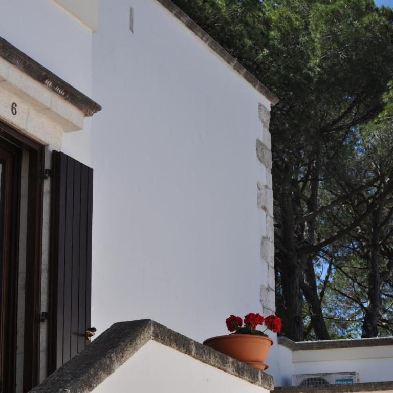 B&B Villa Rosanna - Camera Matrimoniale con Bagno Privato - 7