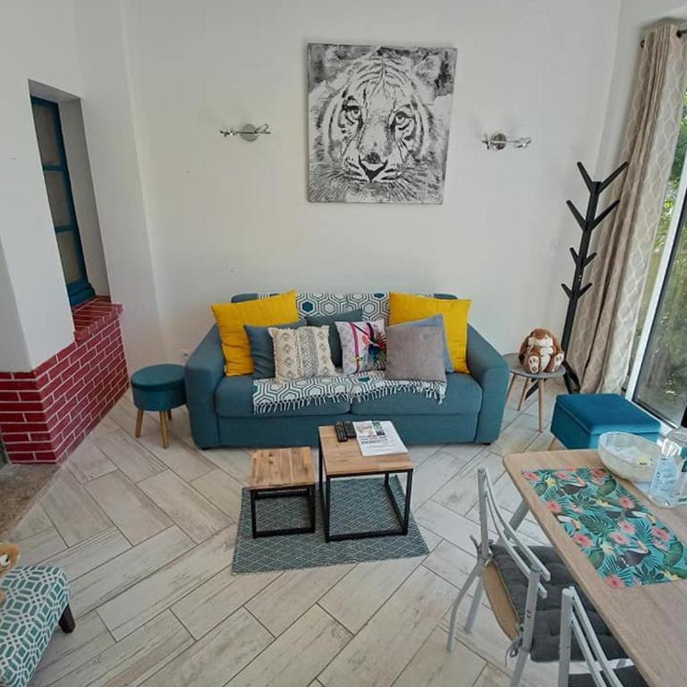 Gîte OZOO - Vacation Home - 6