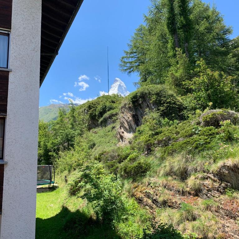Apartments Zermatt Paradies - Apartment mit 2 Schlafzimmern und Südwestausrichtung - 2. Stock - 9