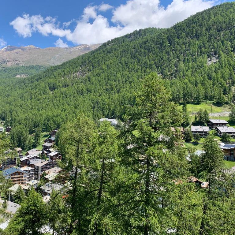 Apartments Zermatt Paradies - Apartment mit 2 Schlafzimmern Süd-West-Dachgeschoss - 11