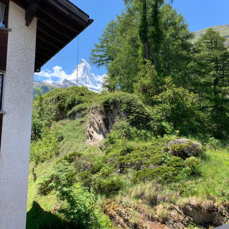 Apartments Zermatt Paradies - Apartment mit 2 Schlafzimmern Süd-West-Dachgeschoss - 10