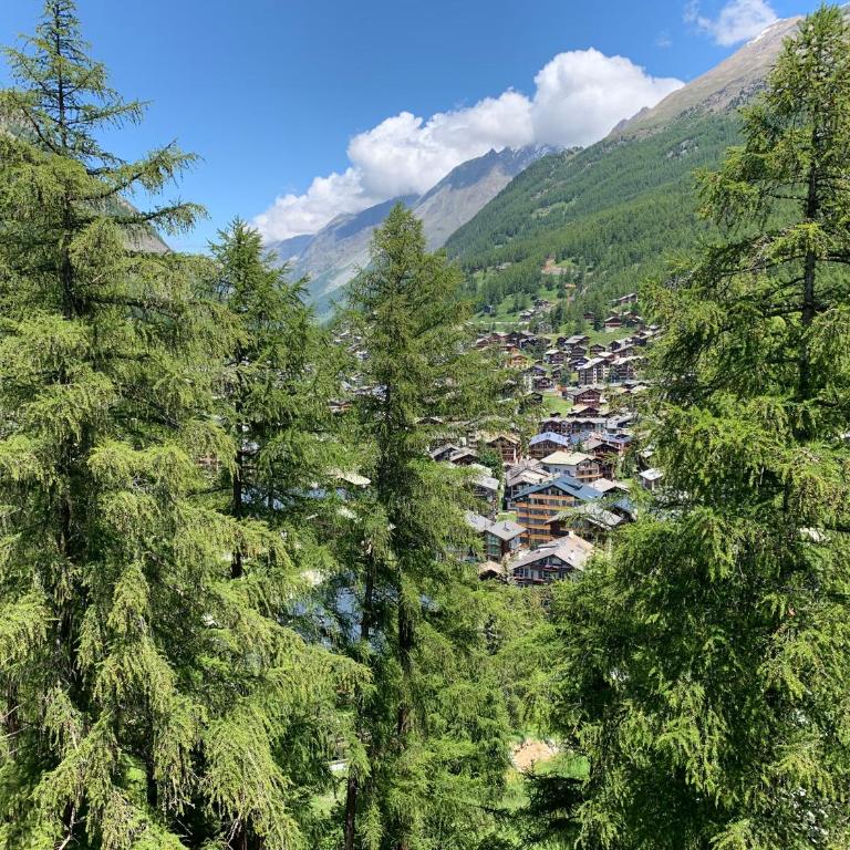 Apartments Zermatt Paradies - Apartment mit 2 Schlafzimmern Ost-Süd-Dachgeschoss - 11