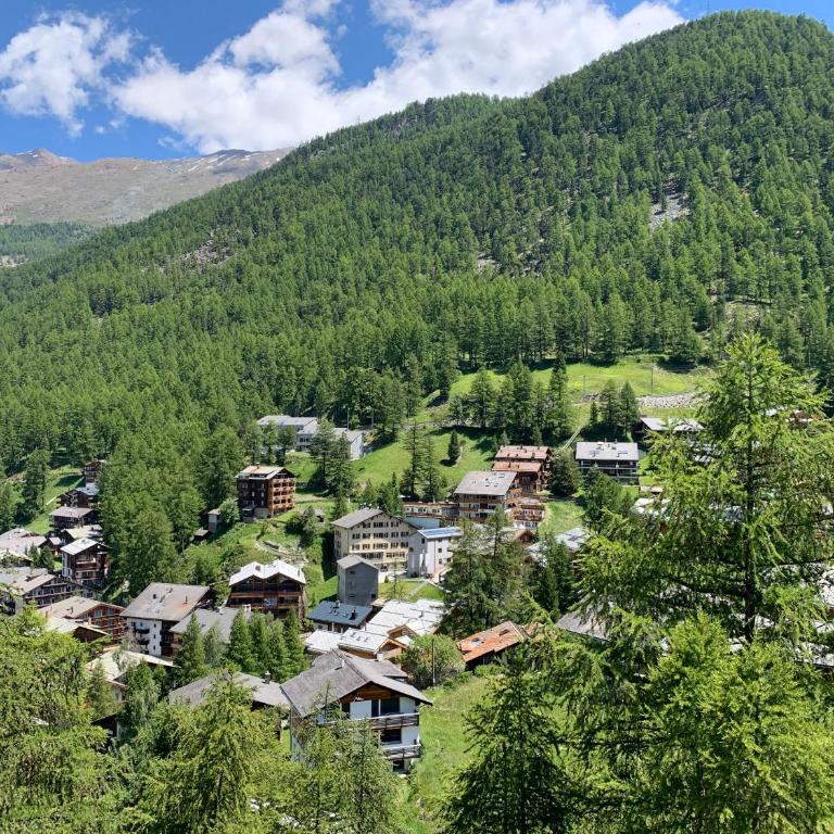 Apartments Zermatt Paradies - Apartment mit 2 Schlafzimmern Ost-Süd-Dachgeschoss - 7