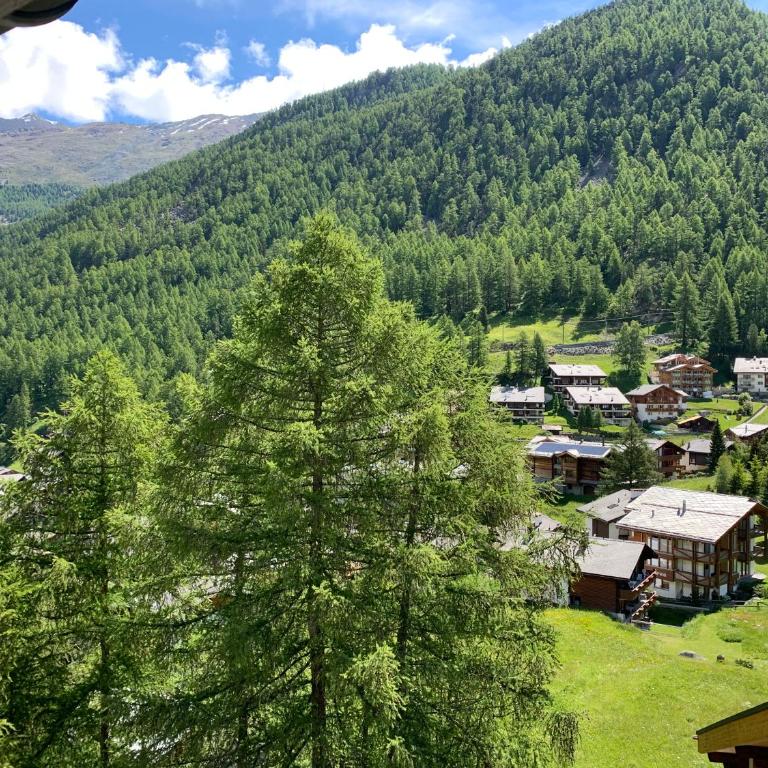 EVA Apartments - Apartment mit Blick auf die Berge - 8