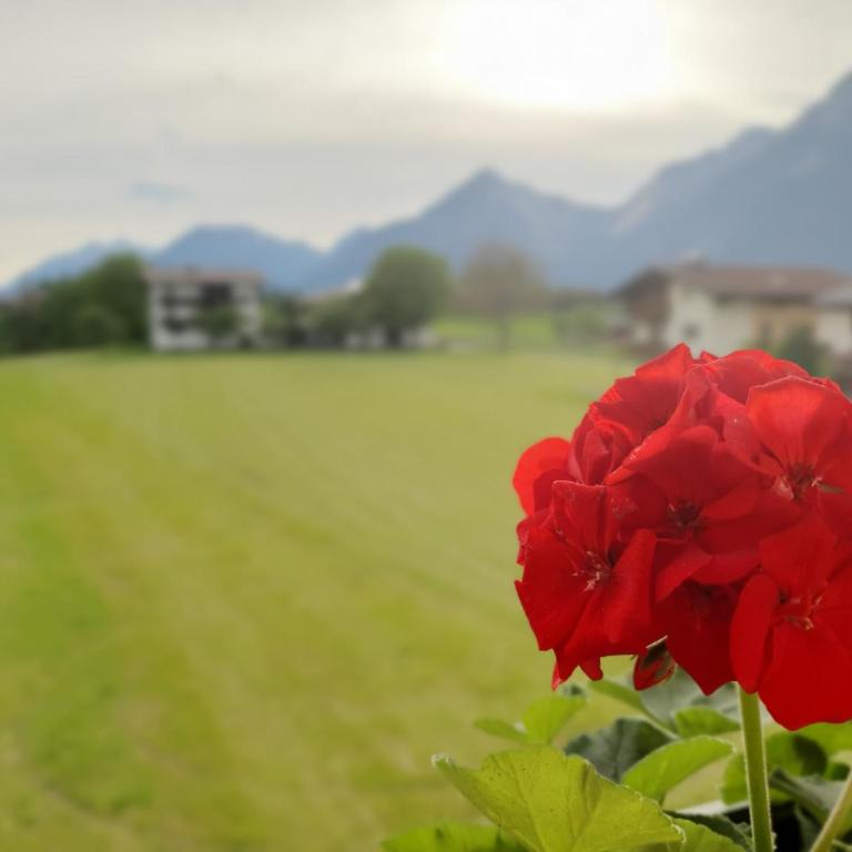 Dorfjuwel Alpbachtal - Apartment mit 2 Schlafzimmern - 16