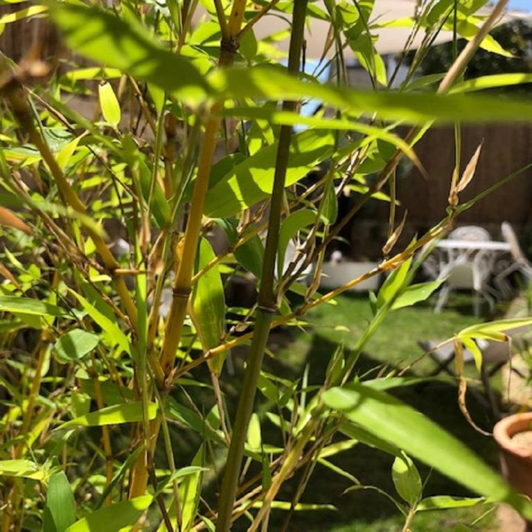 TY LAUMANN sur le PORT petite maison avec jardin - Parking gratuit - One-Bedroom House - 7