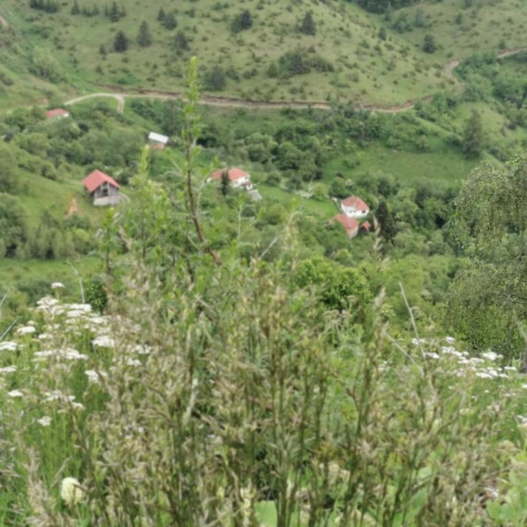 Jelen Apartment Milmari P40 - Appartement 1 Chambre - 47