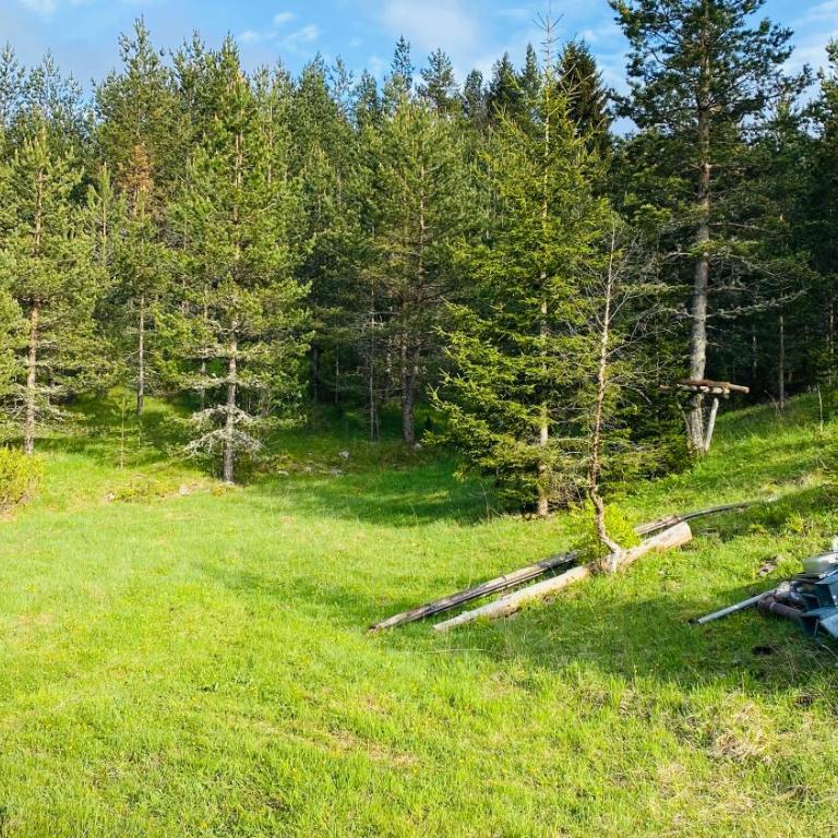Eco Village Pavlovic - One-Bedroom House - 20