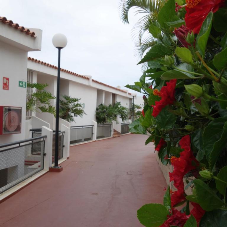 Huge Sunny Terrace Heated Pool Costa Adeje - Apartamento de 1 dormitorio - 6
