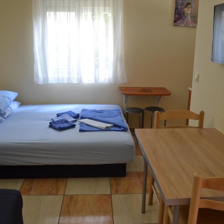 Apartments Milosevic - Studio with Sea View - 8